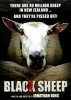 black-sheep.jpg