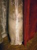 ninja-cat-hiding-funny-103__605.jpg