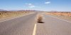 tumbleweed.jpg