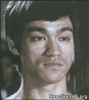 GIF--laughing-funny-LOL-haha-hehe-hilarious-fun-happy-laugh-Bruce-Lee-GIF.gif