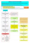 CHINA-US-RT-Travel-Flowchart-05-091-1086x1536.jpg