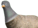1792846646683.png
