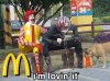 im-lovin-it.jpg