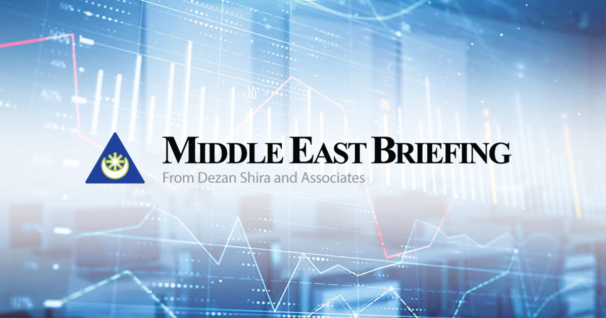 www.middleeastbriefing.com