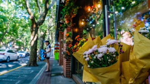 www.shine.cn
