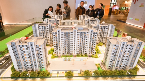 www.shine.cn