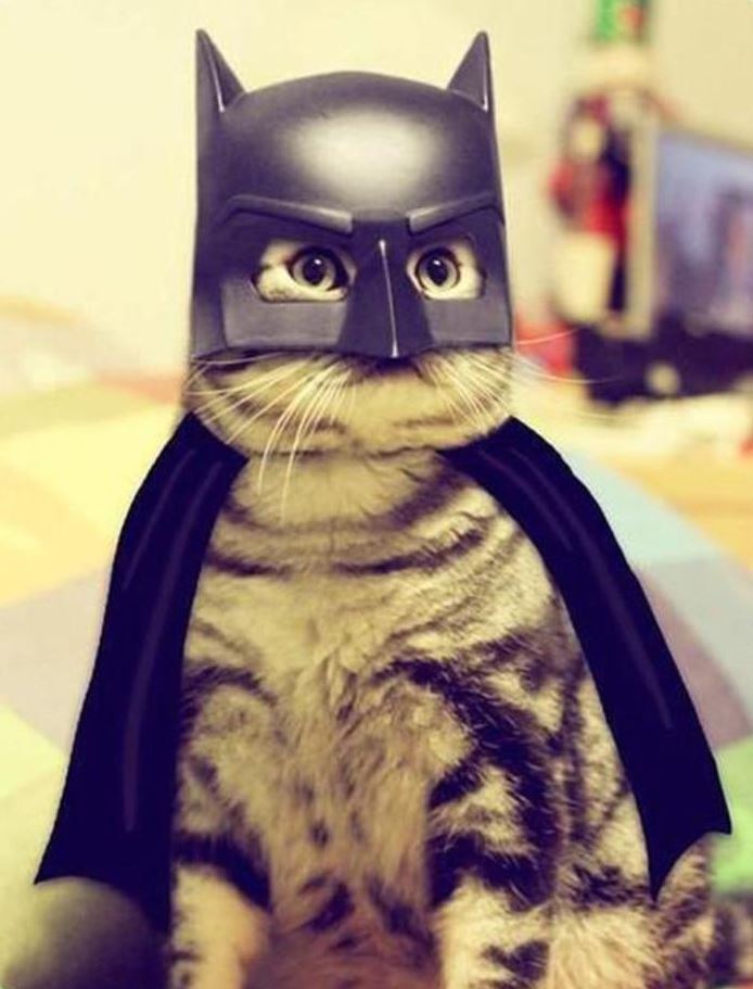 chat-bat-man.jpg