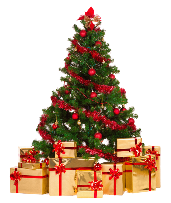 sapin%20de%20noel.png