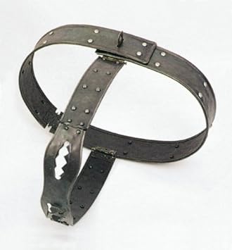 41RnRQy4Z-L._SY355_.jpg