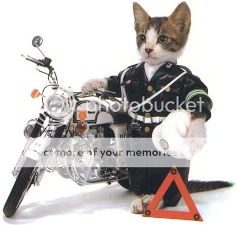 Chatpolicier_zps77015063.jpg